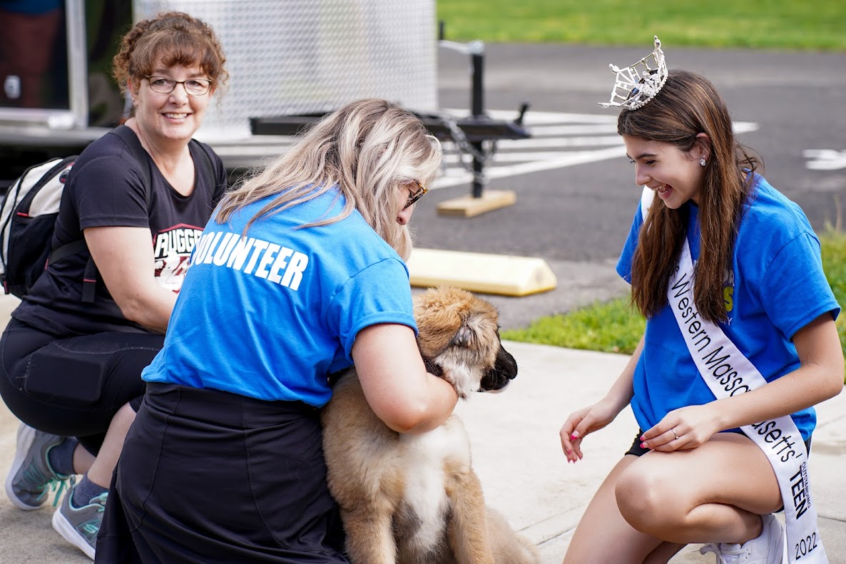 Will Run for Cookies A Winner! Dakin Humane Society